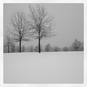 instagram walk in snow
