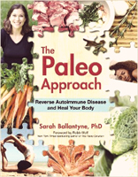 The Paleo Approach by Sarah Ballantyne