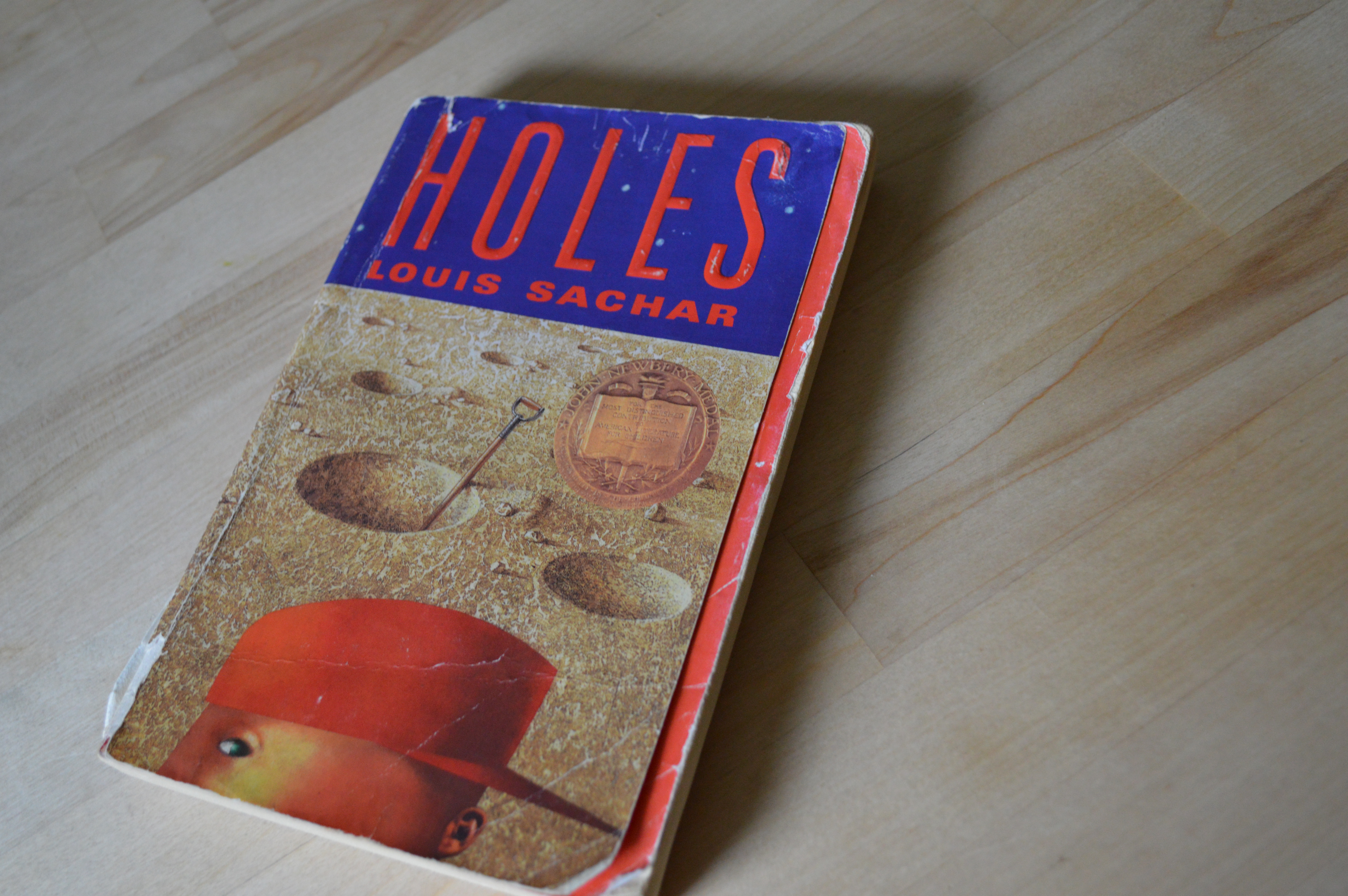 Newbery Review #78 (Holes, Sachar, 1999) Stories  Thyme